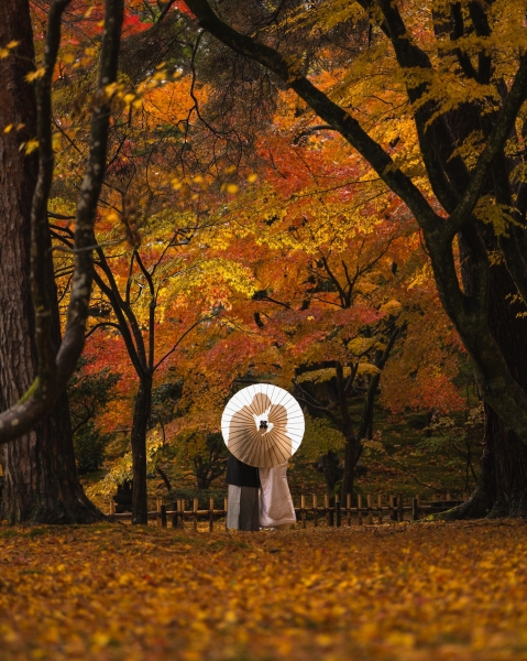 紅葉撮影 只今予約受付中! 8月中のご予約で早期予約特典あり!