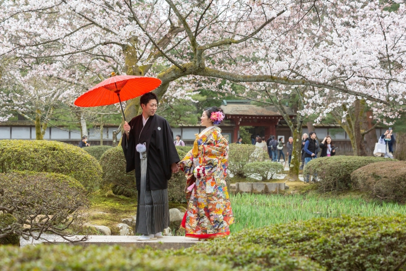 ウエザーニュース社より桜開花予想の最新予想が発表されました。
