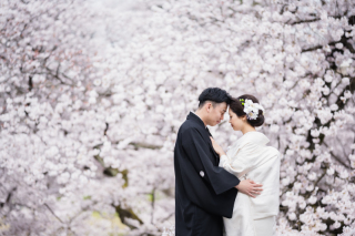 桜ロケーション撮影最新情報！まだ間に合います金沢ロケ撮影！和装＆洋装ロケ撮影！