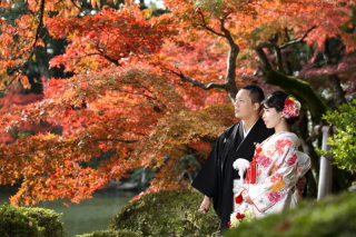 今日（11/17）の兼六園。日々綺麗な紅葉に！今年は11月末まで！今から予約可能