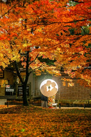 本日の営業時間