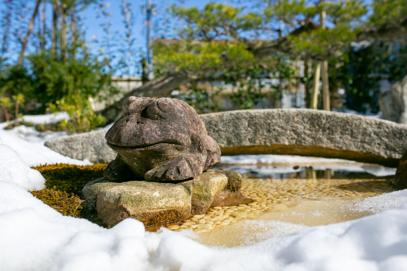和装新スタジオ庭園