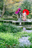 本日の営業時間