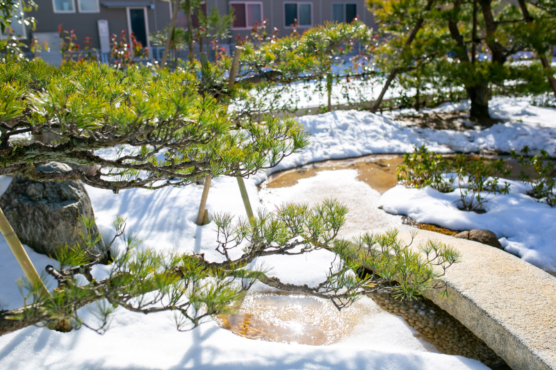 和装新スタジオ庭園