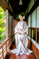 新作白無垢入荷♪