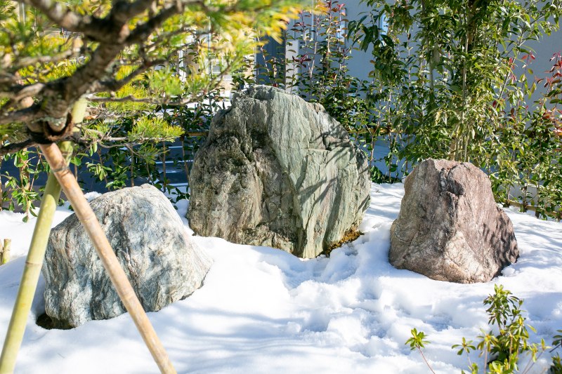 和装新スタジオ庭園