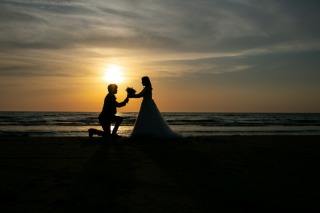 本日の営業時間