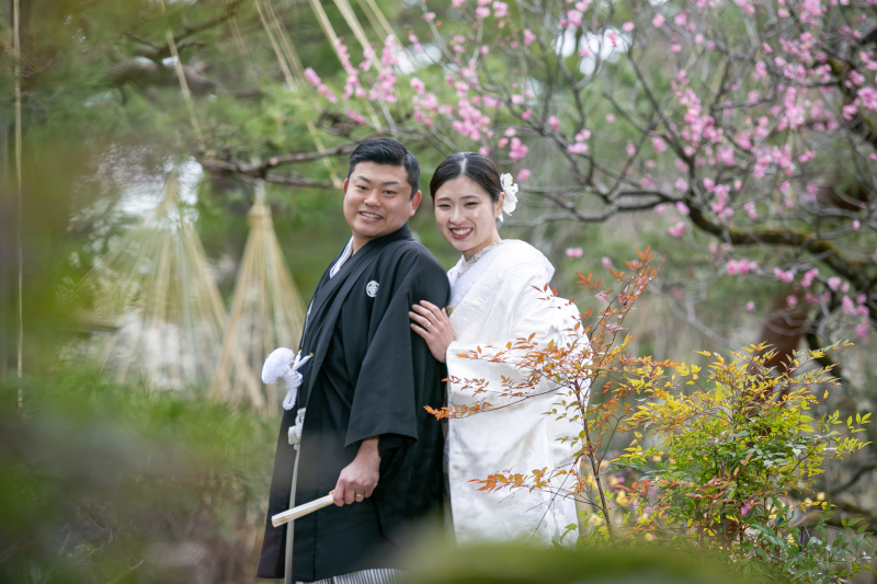 兼六園の梅が咲き始めました！