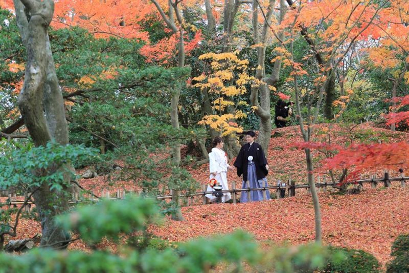 紅葉前撮りロケーションフォト