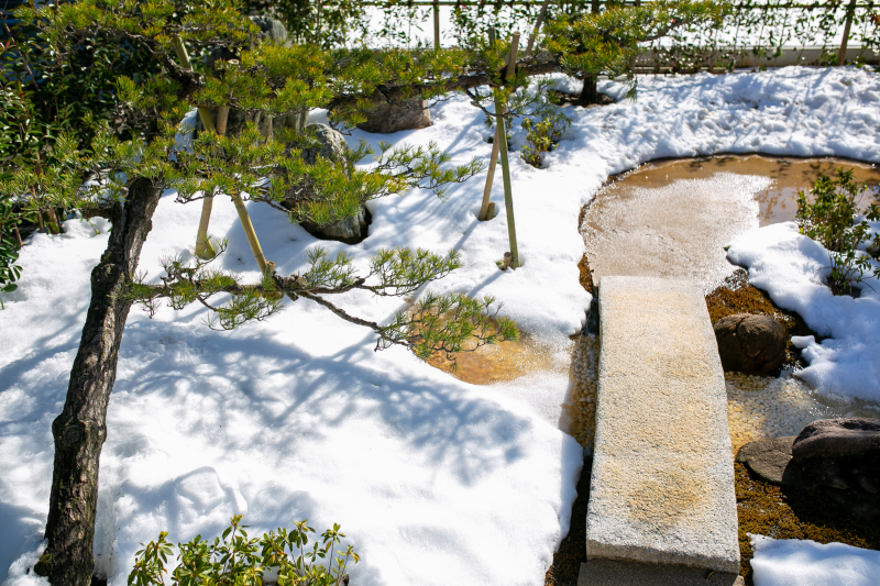 和装新スタジオ庭園