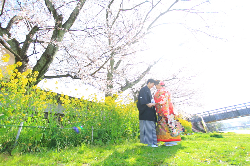 ひがし茶屋街・桜ロケーションフォト