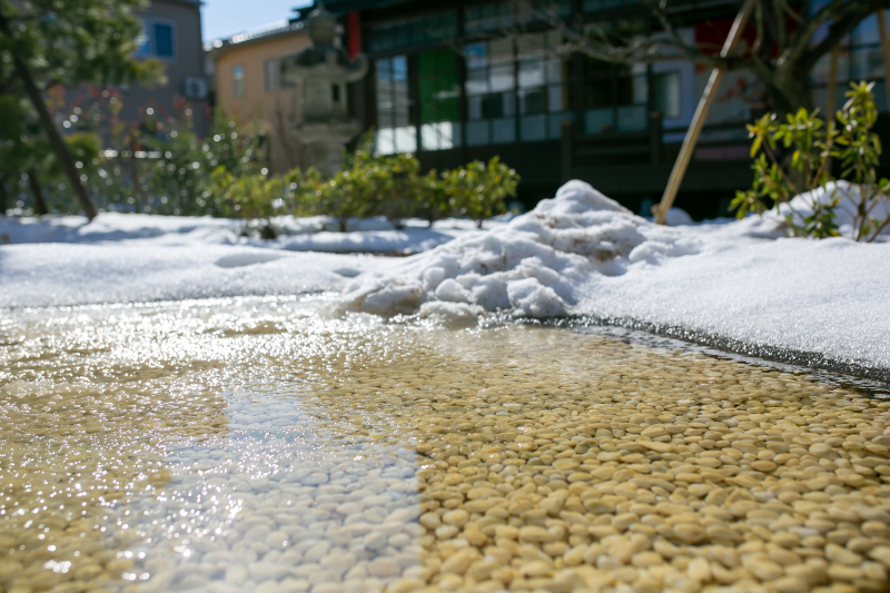 和装新スタジオ庭園