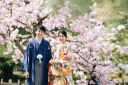 【先着20組様限定！】桜ロケーションフォトのご案内♪