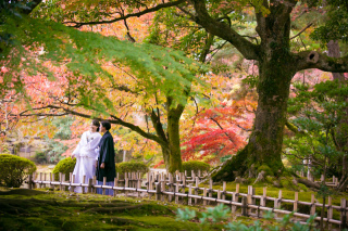 紅葉ロケまだ間に合いますよ!!!