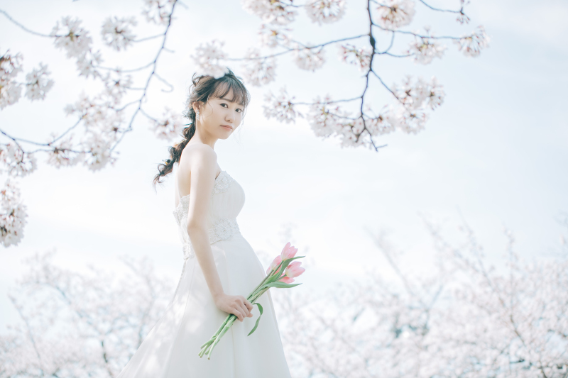 《桜到来》桜フォトウェディング