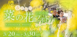 春先取り 菜の花フォト2025