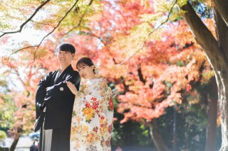 ロケ地優先か紅葉優先か-おすすめの選び方-