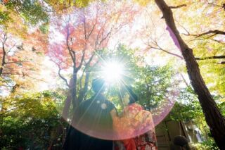 京都で叶えるロケーションフォト　～情緒あふれる写真が人気の日本庭園～