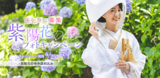 【紫陽花フォトモニター撮影募集!!!】