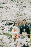 【人気な季節】桜シーズン予約受付中