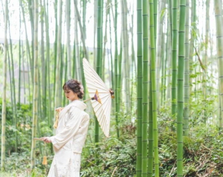 プラン紹介【和装1着1ヵ所ロケーション】色打掛OR白無垢選び放題!