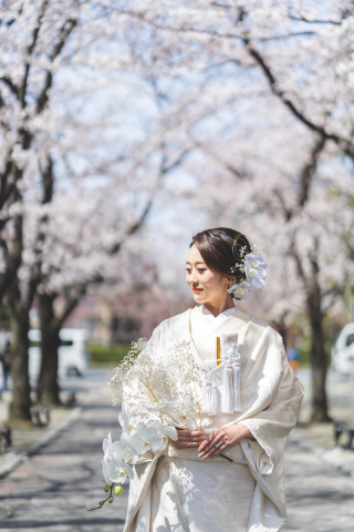 【白無垢×桜】　コーディネート集！