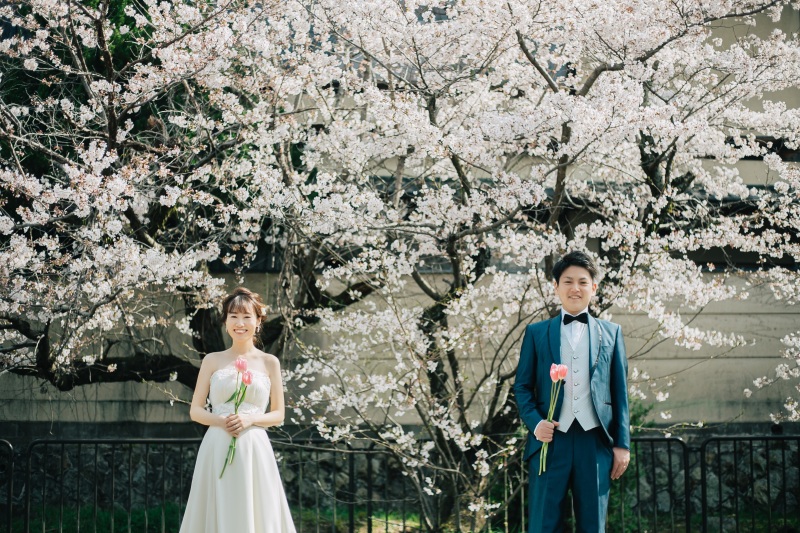 《桜到来》桜フォトウェディング