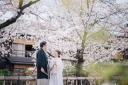150日前プランのご紹介-桜の季節を先取り-