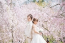 ☆桜フォト☆ 4月2.3.4日空きあります!