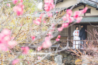 梅の花と撮れるロケ地 紹介【梅宮大社】