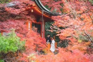 紅葉ロケ地【毘沙門堂】
