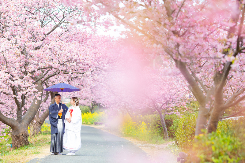 \桜ロケ!今ならおトクなプランで/