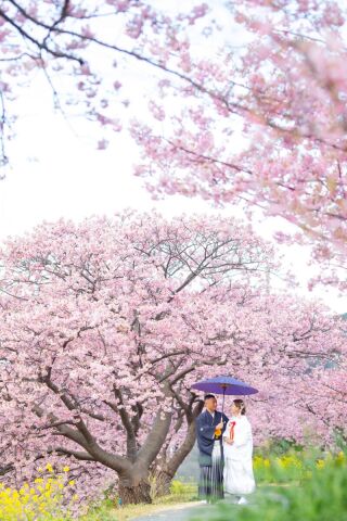【クレール】オンラインもOK!相談会参加がお得な理由♪