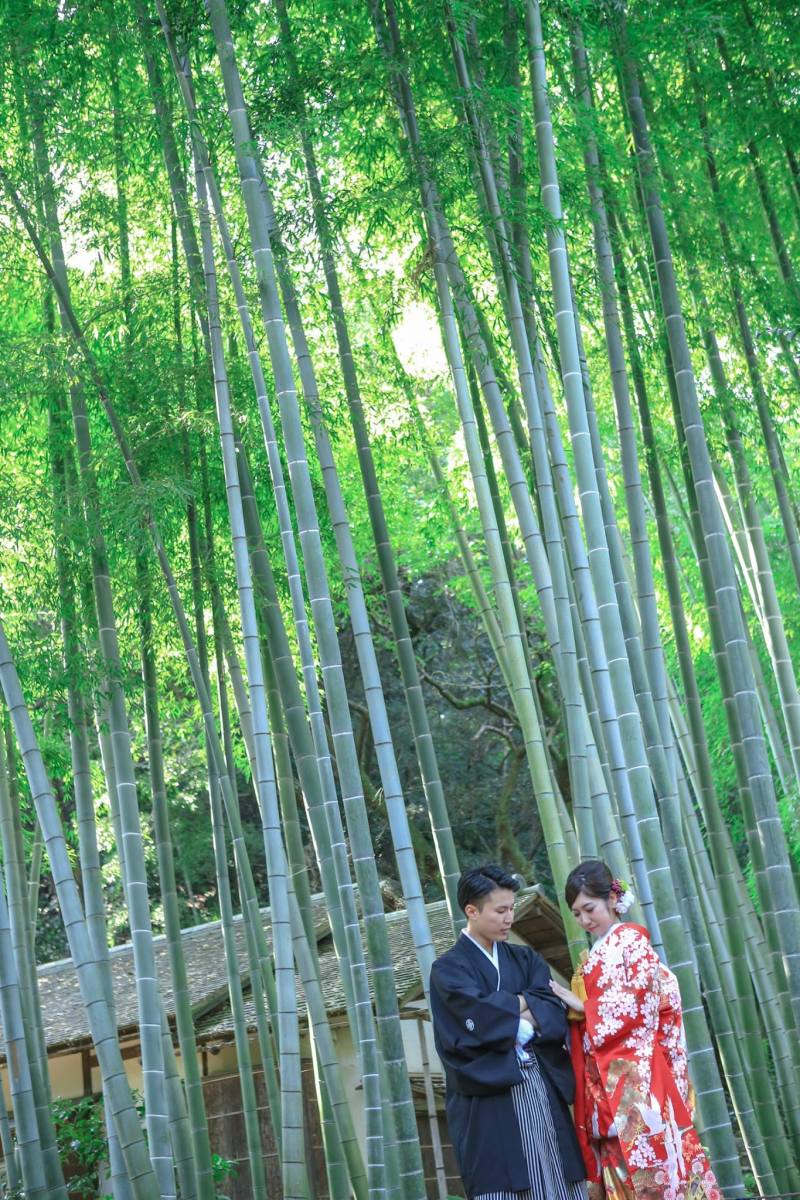 赤の打掛が映える【紅葉前の三渓園】