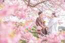 桜でウエディングフォトを前撮りをする魅力とは