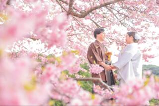 桜でウエディングフォトを前撮りをする魅力とは