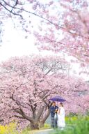 【クレール】オンラインもOK!相談会参加がお得な理由♪