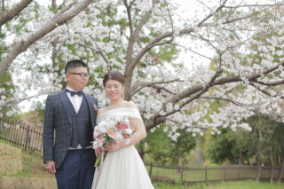 桜でウエディングフォトを前撮りをする魅力とは？？？