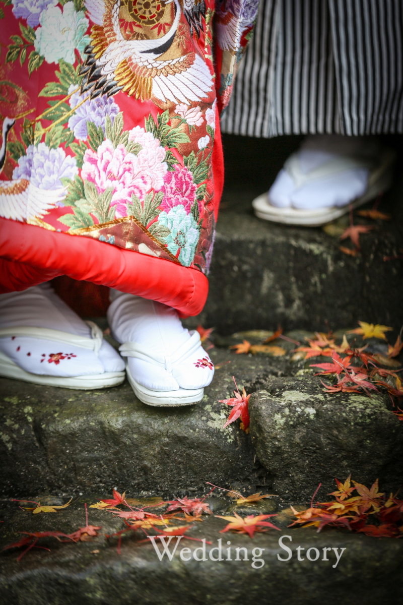 雨上がりの紅葉に