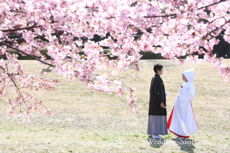 桜とタイミング良く!