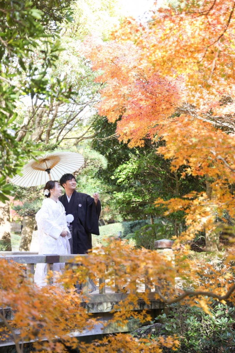 【期間限定】紅葉早割キャンペーン☆