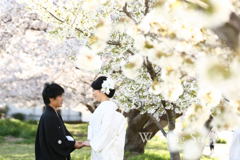 桜とのロケーション