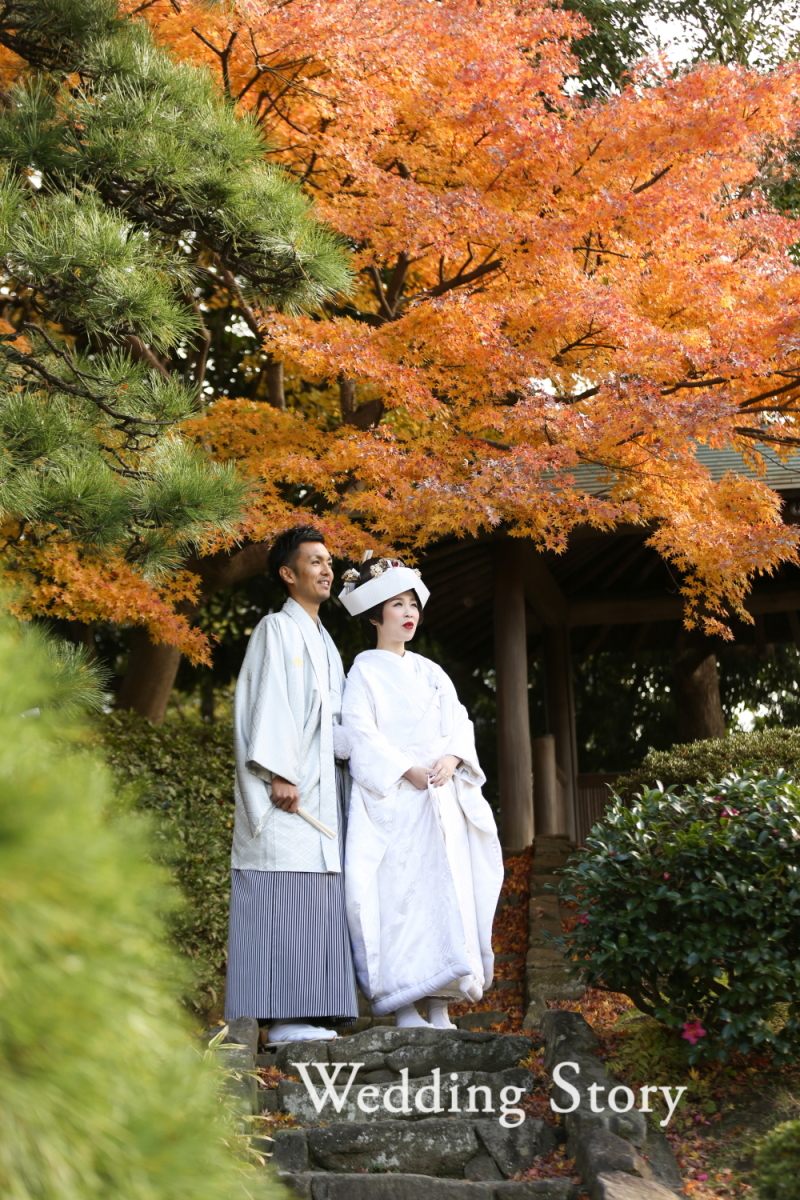 紅葉最盛です