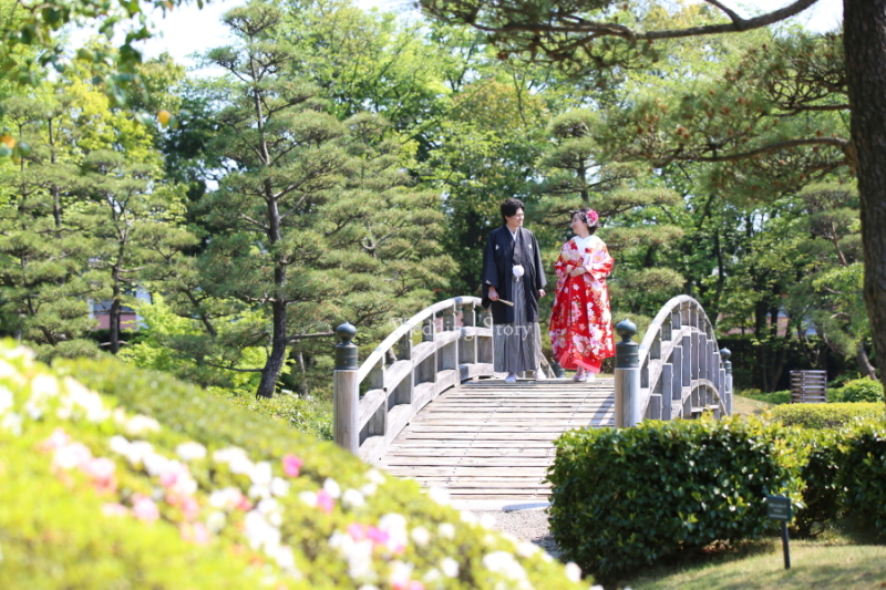 この時期に菜の花畑と！