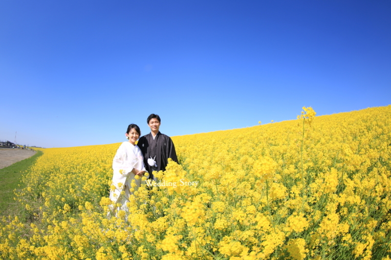 菜の花と撮影したくて!