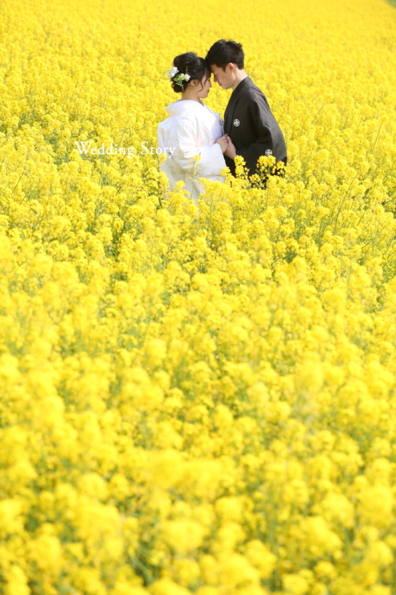 ステキな写真!