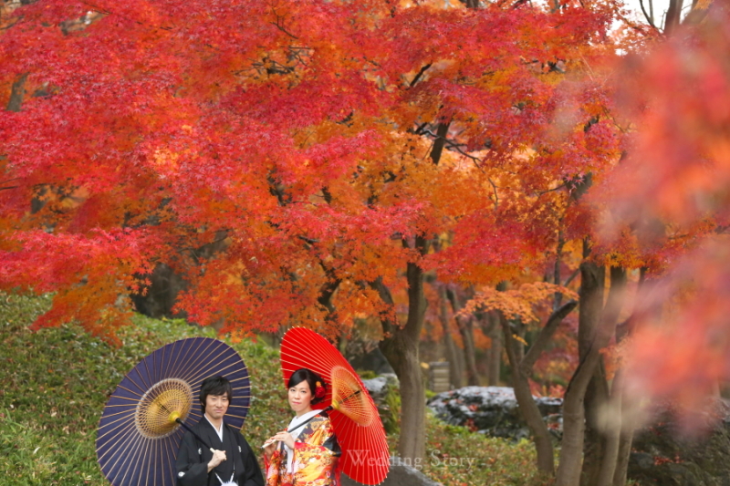 写真をが好きに!