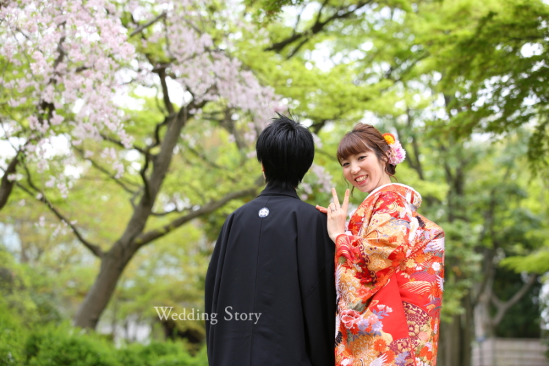 写真がとてもきれい!