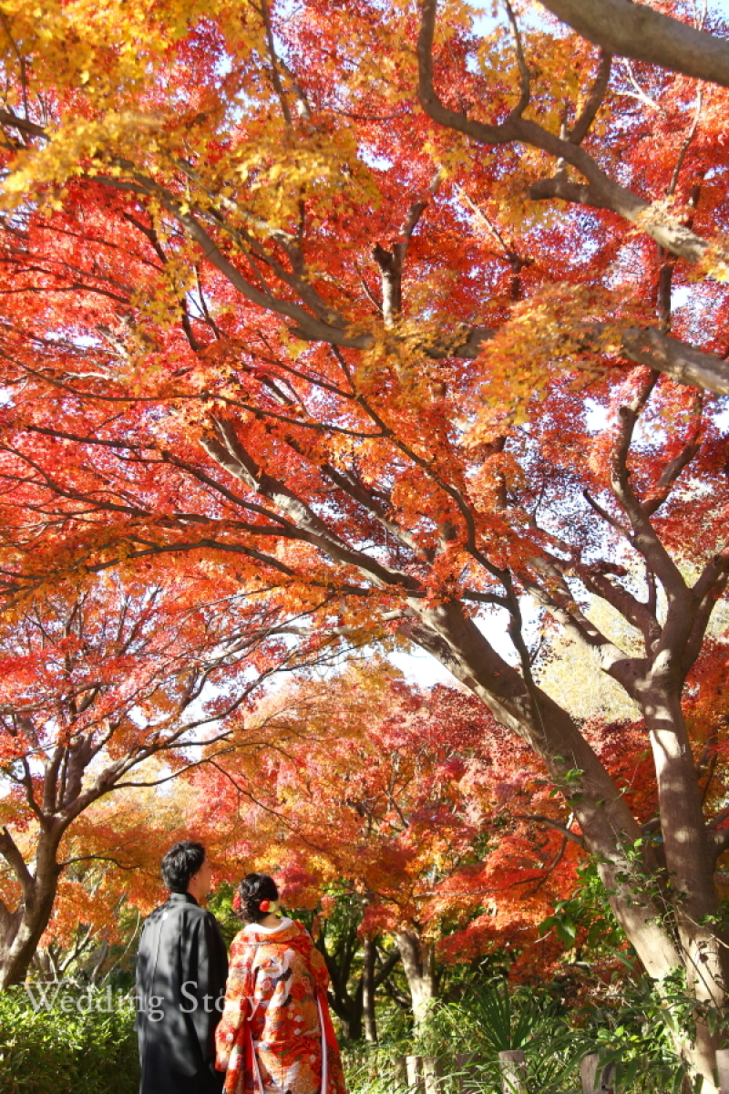 紅葉で!!