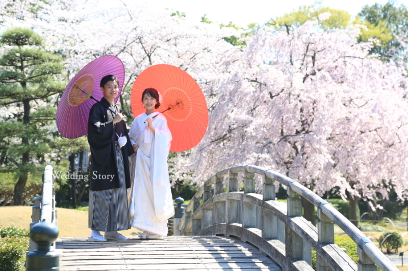 菜の花と撮影したくて!